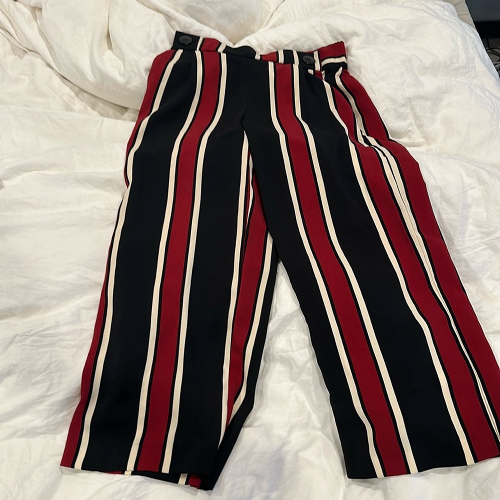 Zara wide leg gaucho pants